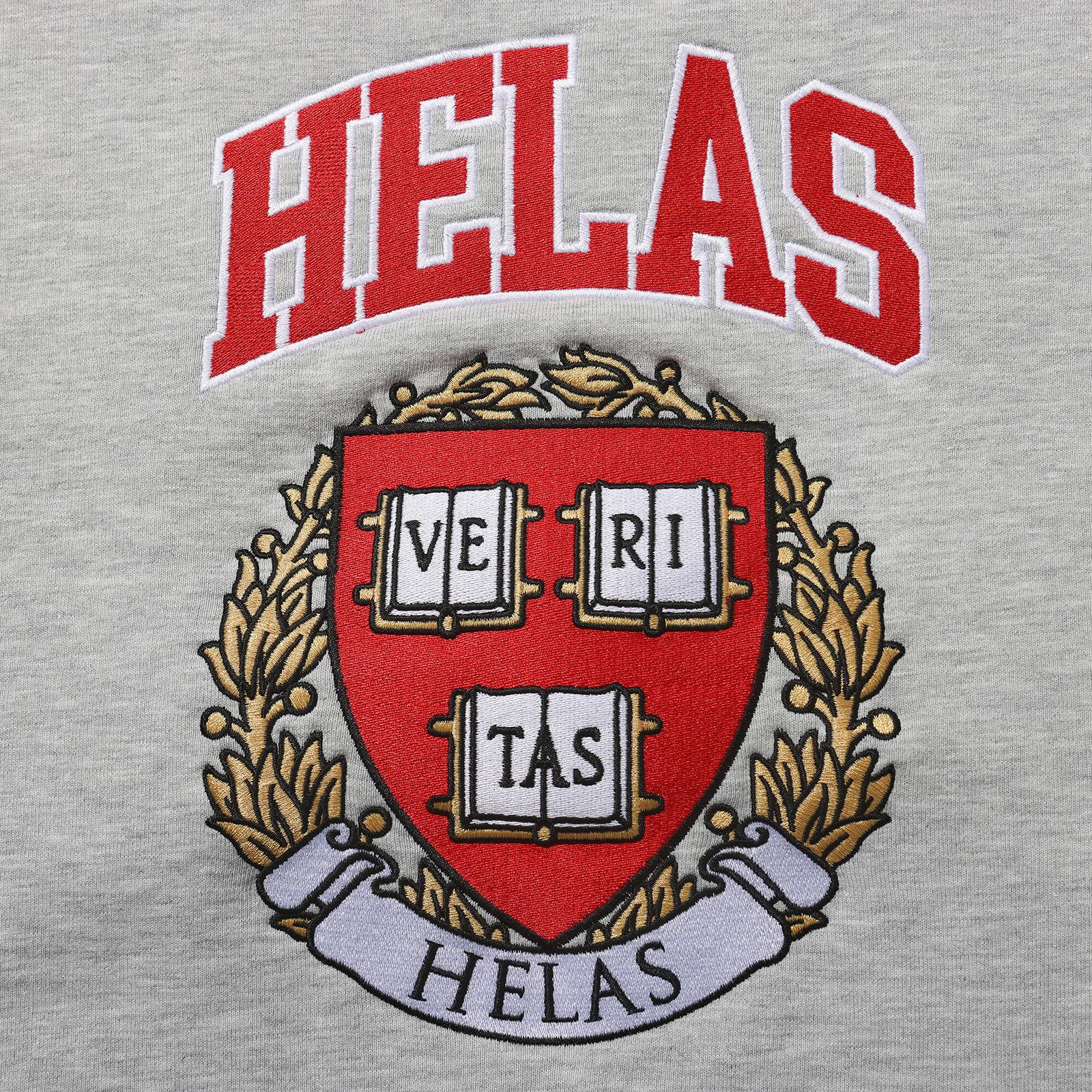 VERITAS CREWNECK HEATHER GREY_20302.jpg