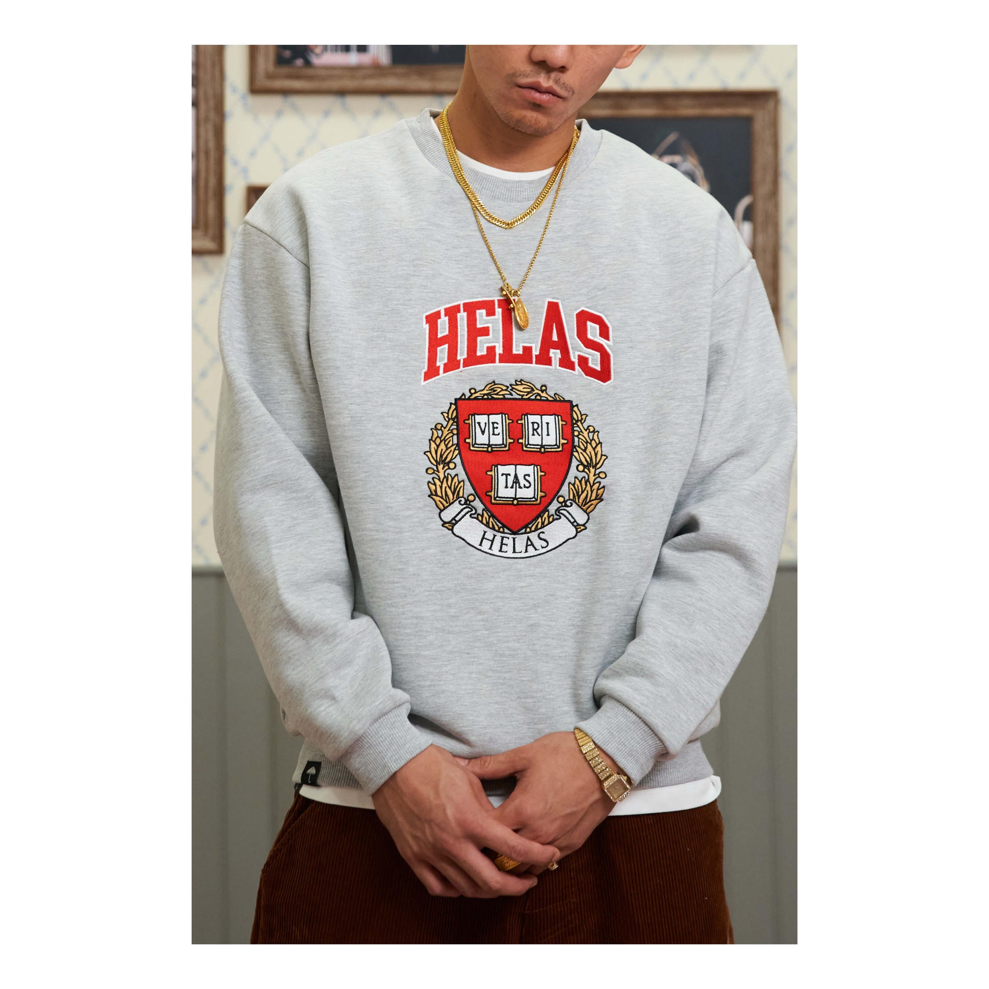 VERITAS CREWNECK HEATHER GREY_20309.jpg