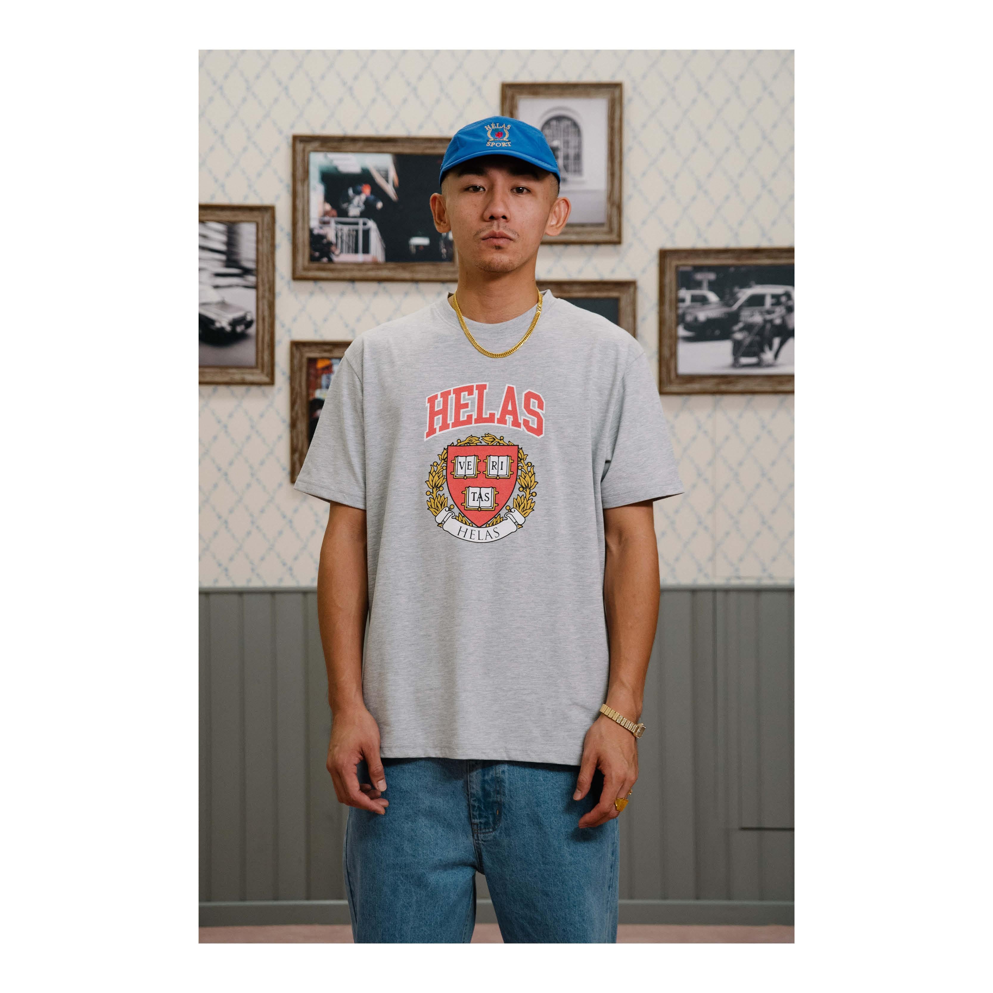 VERITAS TEE HEATHER GREY_20447.jpg
