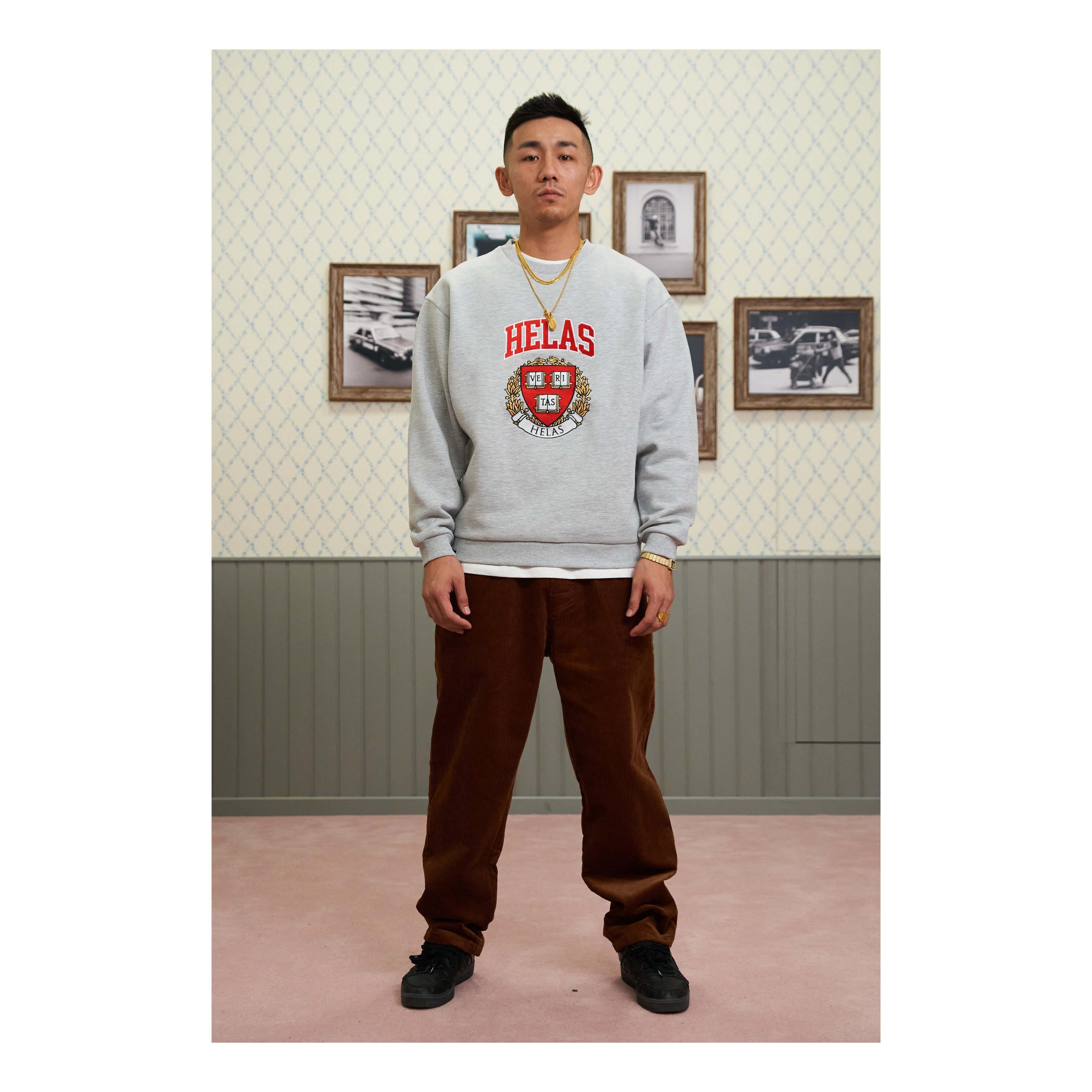 VERITAS CREWNECK HEATHER GREY_20307.jpg