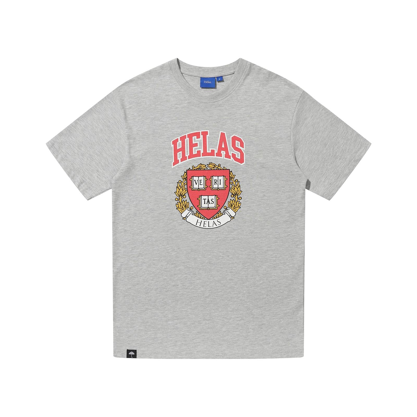 VERITAS TEE HEATHER GREY_20439.jpg