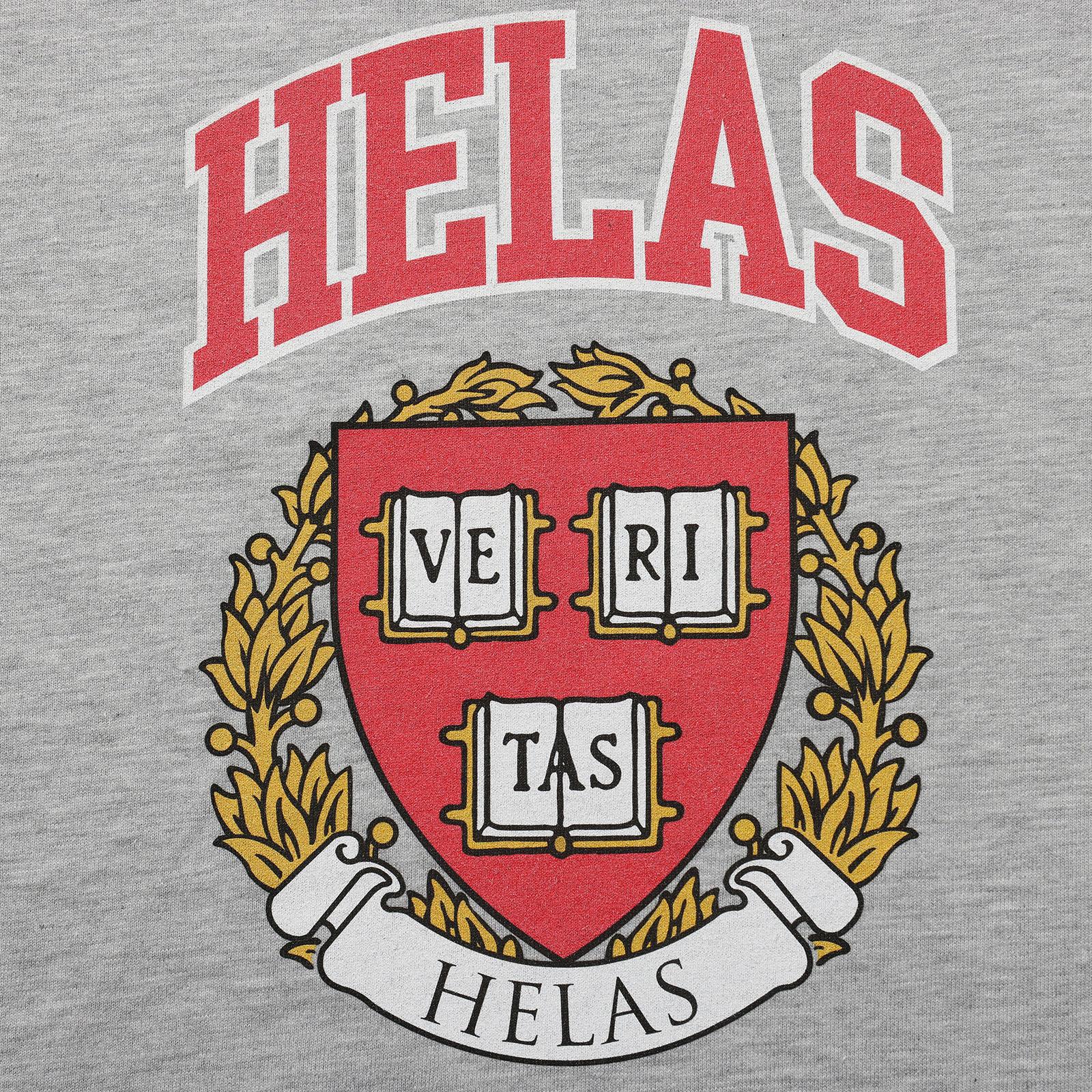 VERITAS TEE HEATHER GREY_20442.jpg